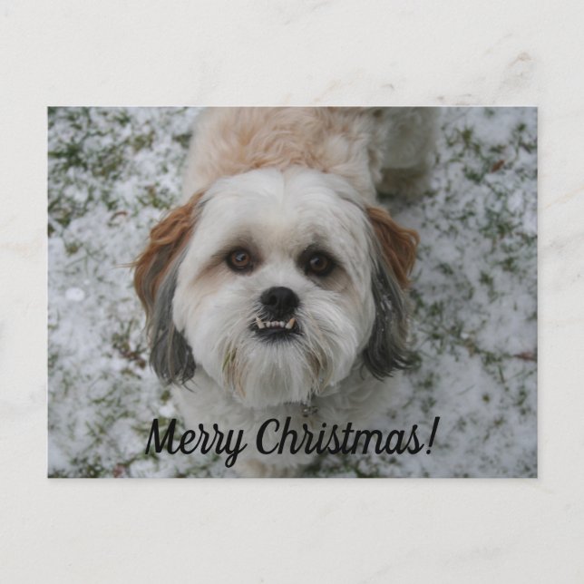 Merry Christmas Customisable Postcard (Front)
