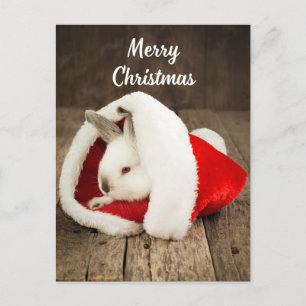 Merry Christmas Cute Bunny in Santa Hat Postcard