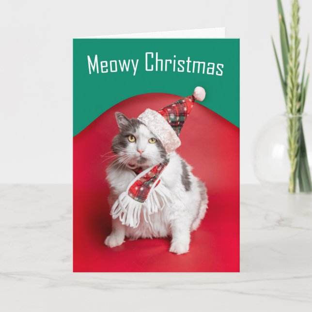 Merry Christmas Cute Cat in Holiday Hat and Scarf (Front)