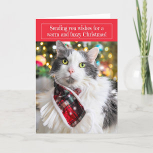 Merry Christmas Cute Cat in Holiday Scarf Card