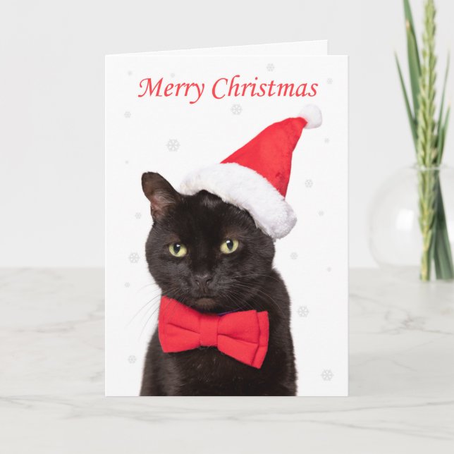 Merry Christmas Cute Cat in Santa Hat and Bow Tie Holiday Card (Front)