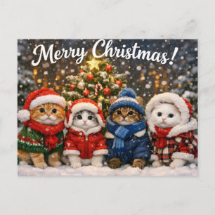 Merry Christmas Cute Cats in Winter Sweaters Holiday Postcard
