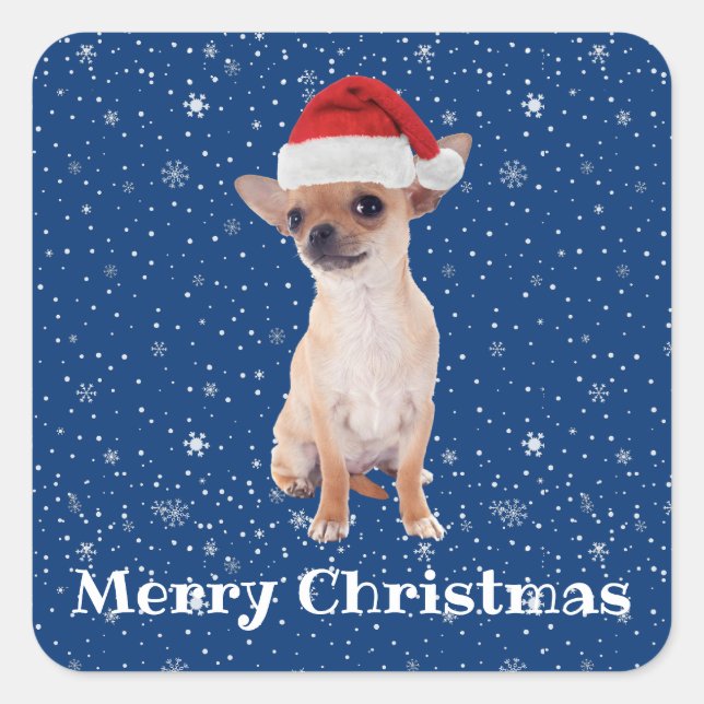 Merry Christmas Cute Chihuahua Santa 2 Square Sticker (Front)