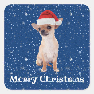 Merry Christmas Cute Chihuahua Santa 2 Square Sticker