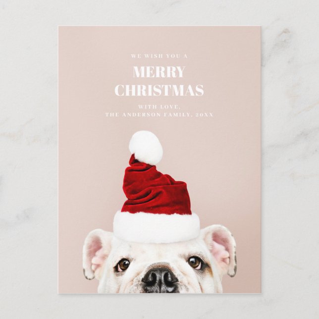 Merry Christmas. Cute dog. Animal Santa Claus Holiday Postcard (Front)