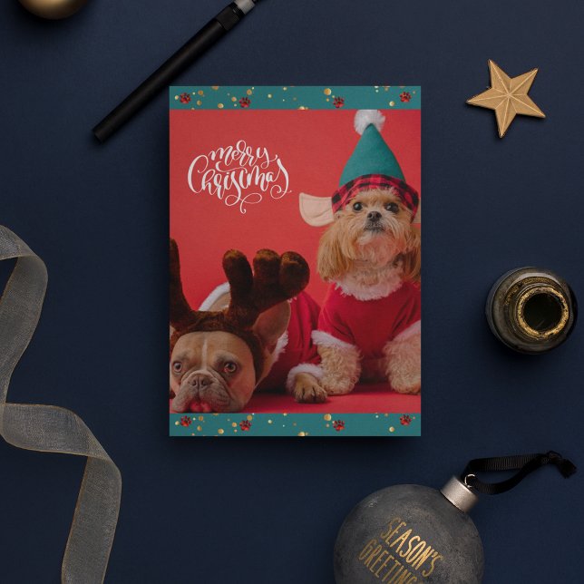 Merry Christmas Cute Dog Christmas Holiday Card (Front)