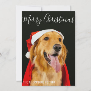 Merry Christmas Cute Dog Photo Simple Wishes Holiday Card