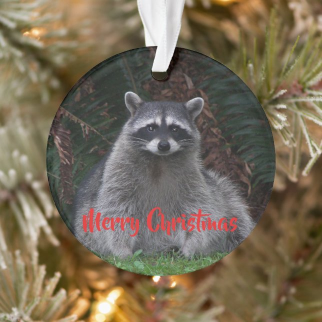 Merry Christmas Cute Forest Racoon Ornament (Tree)