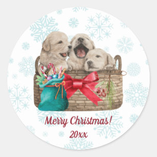 Merry Christmas Cute Golden Retriever Puppies  Classic Round Sticker