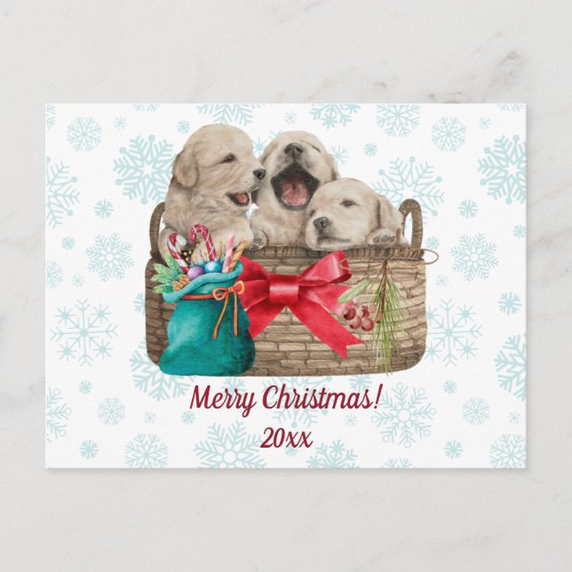 Merry Christmas Cute Golden Retriever Puppies  Holiday Postcard (Front)