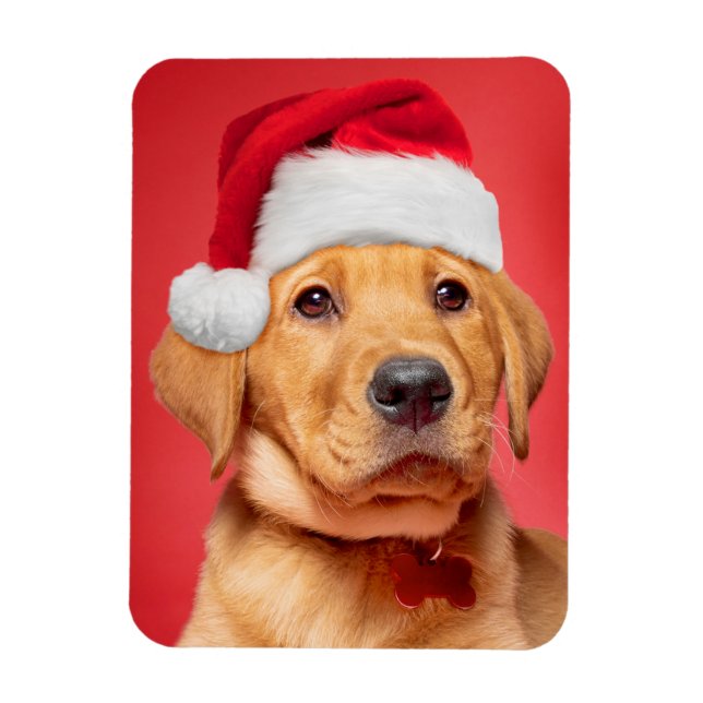Merry Christmas Cute Labrador Puppy in Santa Hat Magnet (Vertical)
