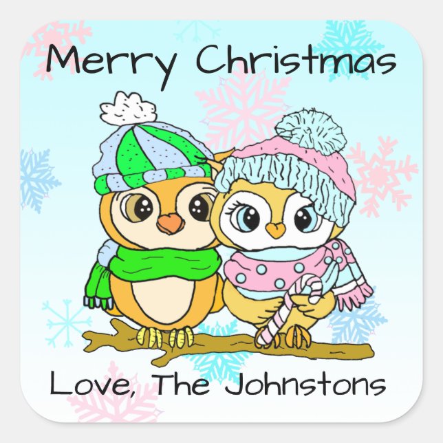 Merry Christmas Cute Owl Couple Christmas Square Sticker (Front)