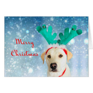 Merry Christmas Cute Pet Dog Lab with Antlers
