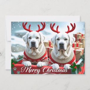 Merry Christmas Cute Yellow Labs Personalised Holiday Card