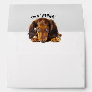 Merry Christmas Dachshund Dog Animal Holiday Envelope