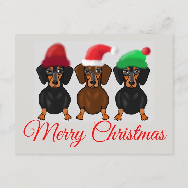 Merry Christmas Dachshund Postcard (Front)