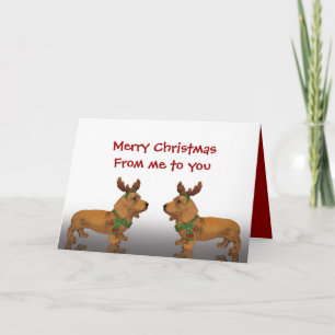 Merry Christmas Dachshunds Holiday Card