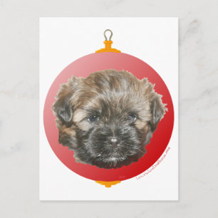 Merry Christmas Dear Little Rescued Dog Holiday Postcard