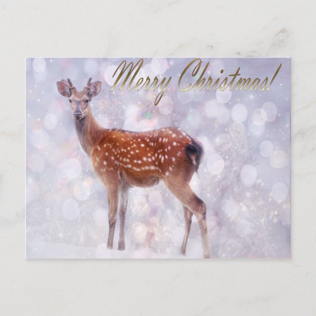 Merry Christmas Deer Friends in Snow Holiday Postcard (Front)