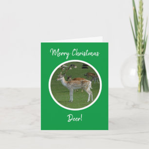 Merry Christmas Deer Holiday Card
