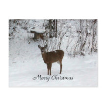 Merry Christmas Deer