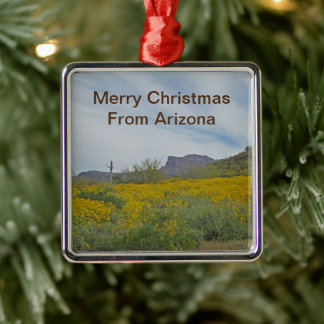 Merry Christmas Desert Wildflower Arizona Holiday Metal Tree Decoration