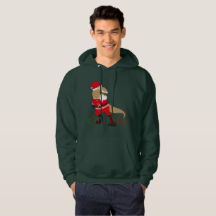 merry christmas dinosaur santa claus hoodies