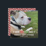 Merry Christmas Dog Dad From The Dog Photo Flat Holiday Card<br><div class="desc">This great Christmas card from the dog features your dog's photo with "best dog dad ever',  Merry Christmas,  and your dog's name. On the back of the card is dusty red with paw pattern. A great way to celebrate the Holidays.</div>