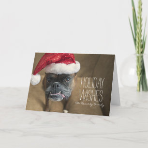 Merry Christmas Dog Holiday Card