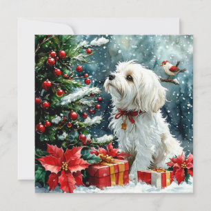 Merry Christmas Dog Holiday Card