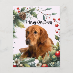 Merry Christmas Dog Lover Golden Retriever  Postcard