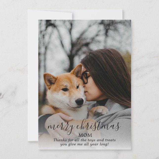 Merry Christmas Dog Photo From The Dog Holiday Card (Front)