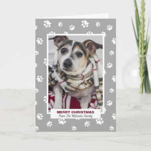 Merry Christmas Dog with Paw Prints Holiday Photo