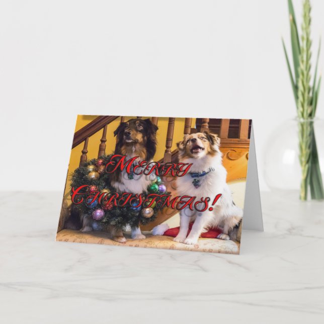 Merry Christmas Dogs Holiday Card (Front)