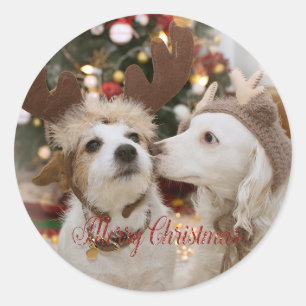 Merry Christmas, Dogs In Love Classic Round Sticker