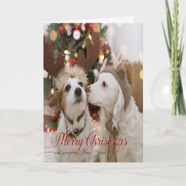 Merry Christmas, Dogs In Love Holiday Card (Front)