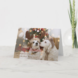 Merry Christmas, Dogs In Love Holiday Card