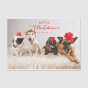 Merry Christmas Dogs in Santa Hats  Tissue Paper