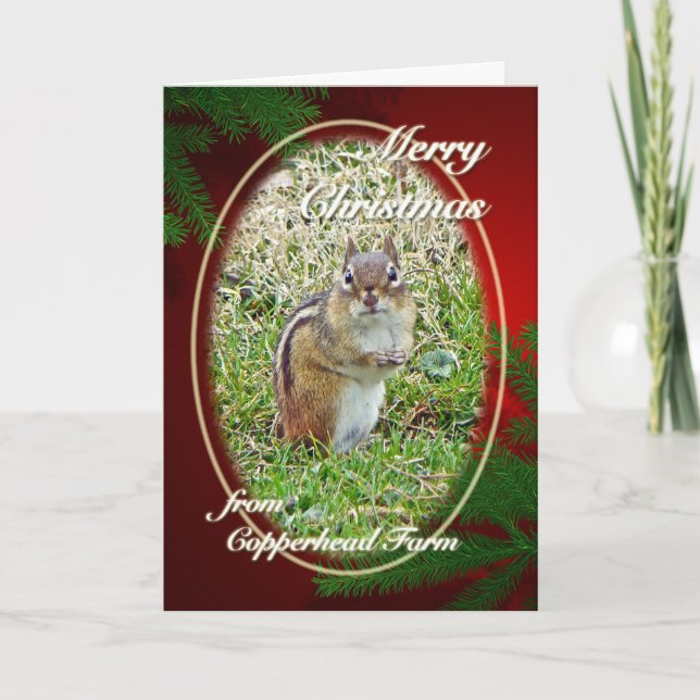 Merry Christmas Eastern Chipmunk For Dolores Holiday Card (Front)