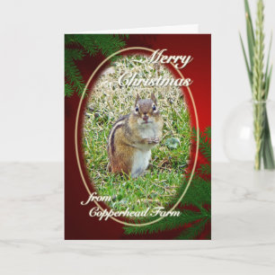 Merry Christmas Eastern Chipmunk For Dolores Holiday Card