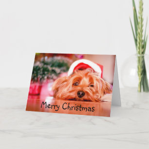 Merry Christmas Exhausted Yorkie Dog Fun Card