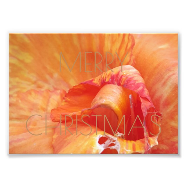Merry Christmas Floral Orange Flower Photography Photo Print (Front)