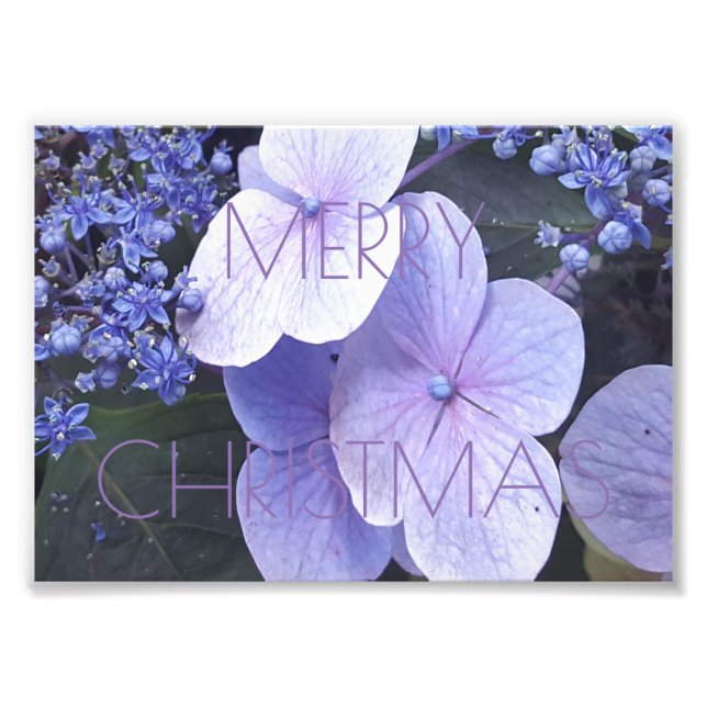 Merry Christmas Floral Purple Flowers Photography Photo Print (Front)