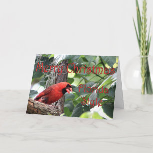 Merry Christmas, Florida Style Holiday Card