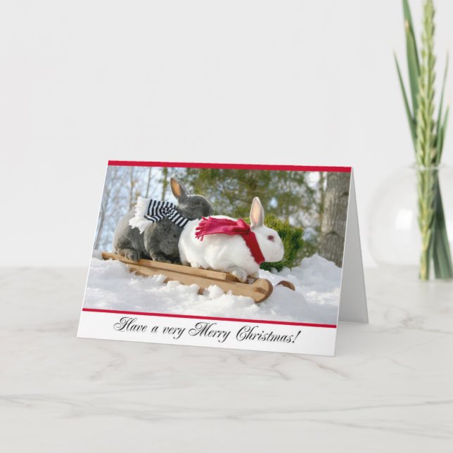 Merry Christmas Fluffy Bunny Card (Front)