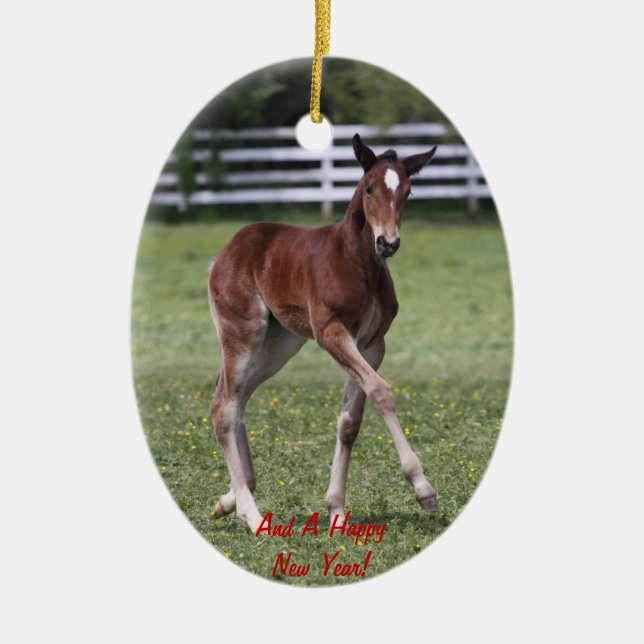 Merry Christmas Foal Ornament (Front)
