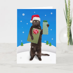 Merry Christmas For Anyone Black Cat With Gifts  Holiday Card
