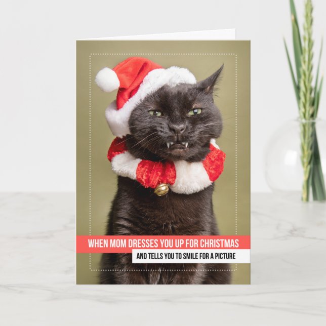 Merry Christmas For Anyone Cat in Santa Hat Holiday Card (Front)