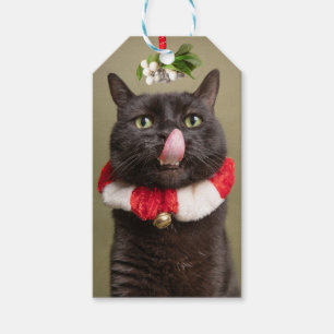 Merry Christmas For Anyone Cat Under Mistletoe   Gift Tags