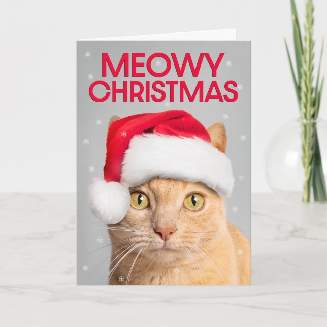 Merry Christmas For Anyone Cute Orange Tabby Cat  Holiday Card (Front)